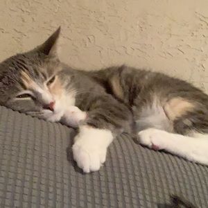 Meet your Posher, Hailey